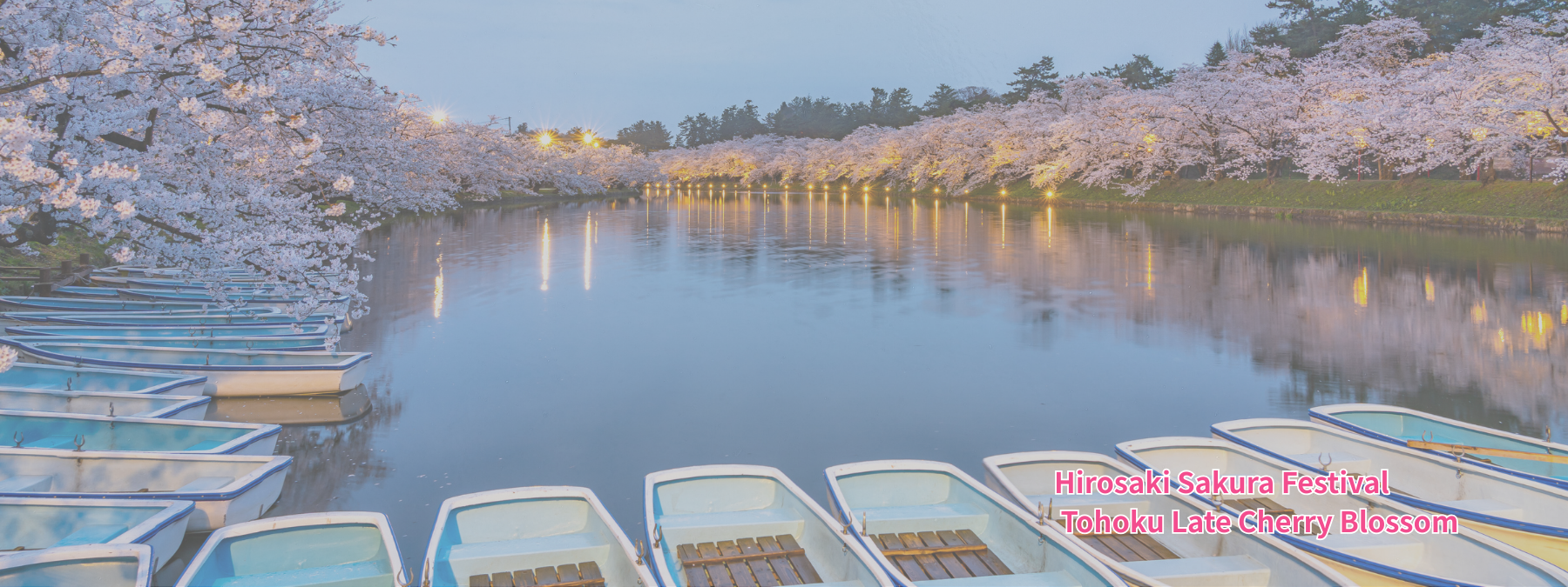 青森弘前櫻花祭 東北晚櫻 日本賞櫻景點
